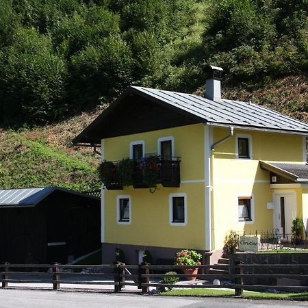 Ferienhaus Christine Taxenbach Bagian luar foto